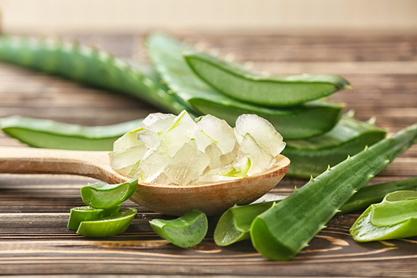 nha đam cải thiện rối loạn tiêu hóa