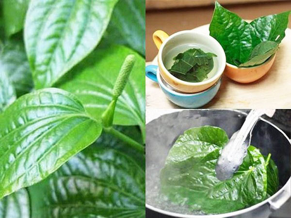cách trị bệnh trĩ