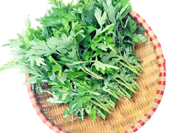 cách trị bệnh trĩ tại nhà