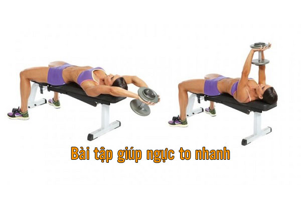 những bài tập giúp ngực to