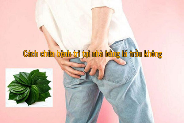 cách chữa bệnh trĩ tại nhà bằng lá trầu không
