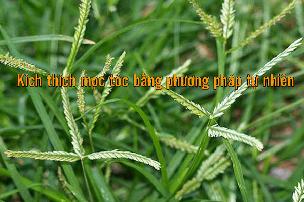 kích thích mọc tóc