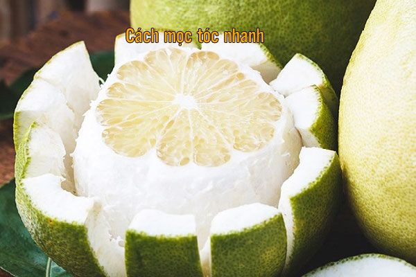 cách làm xịt kích mọc tóc tại nhà