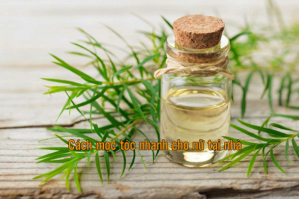 cách nhanh mọc tóc cho nữ