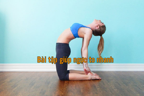 các bài tập để ngực to hơn