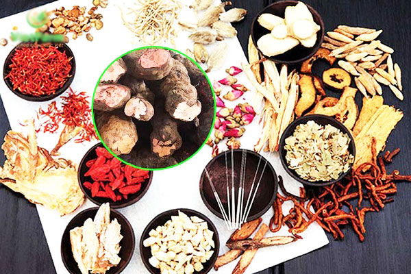 Bài thuốc uống ngăn rụng tóc