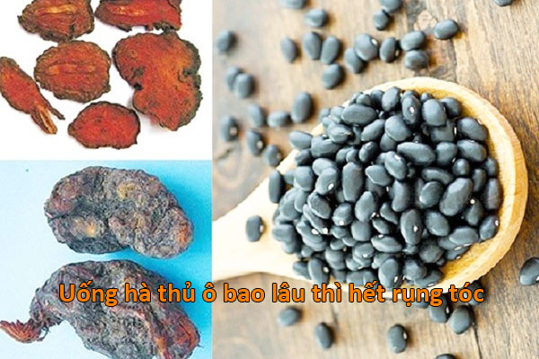 chữa rụng tóc