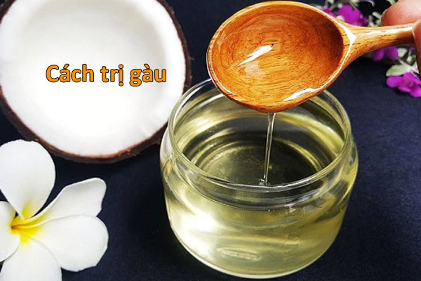 cách trị gàu bằng dầu dừa