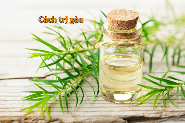 Tinh dầu tràm trà