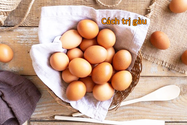 cách trị gàu tại nhà