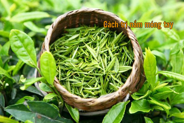 cách trị nấm móng tay tại nhà