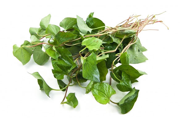 chữa trĩ ngoại độ 2 tại nhà