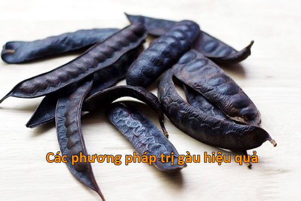 Trị gàu với bồ kết