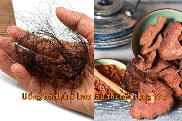 cách chữa rụng tóc bằng hà thủ ô