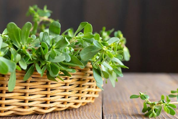 giảm đau bụng tiêu chảy