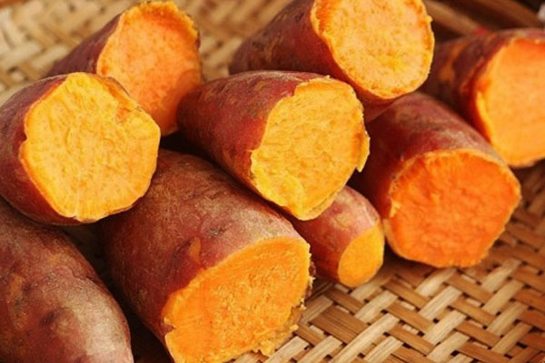 Bị chướng bụng đầy hơi nên ăn khoai lang