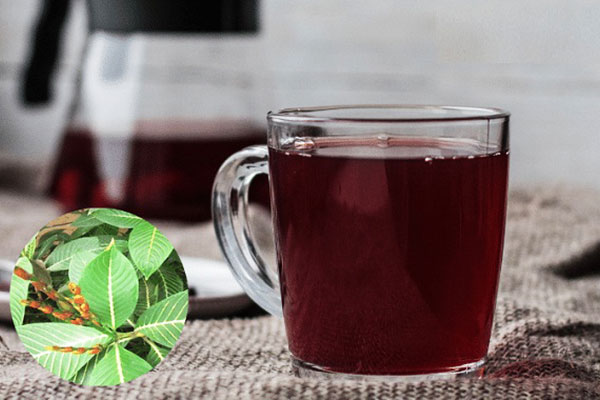 lá khôi chữa trào ngược dạ dày
