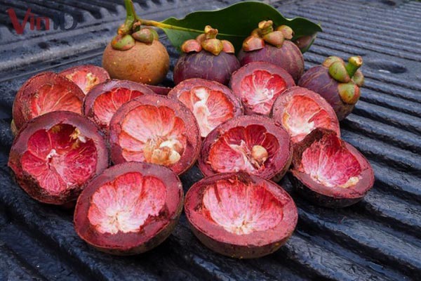 Vỏ quả măng cụt giúp cầm tiêu chảy