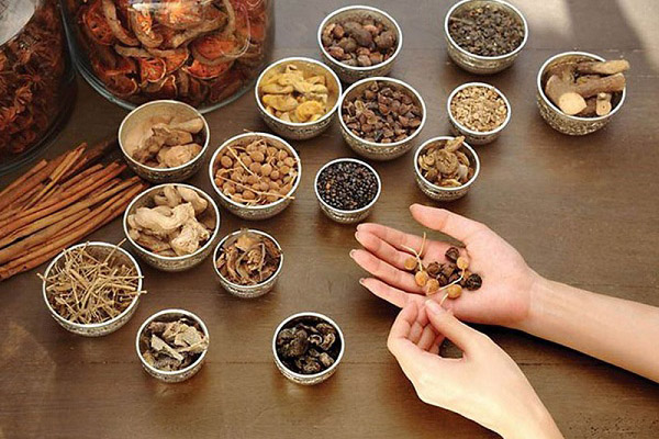 Bài thuốc Đông y giúp chữa trào ngược dạ