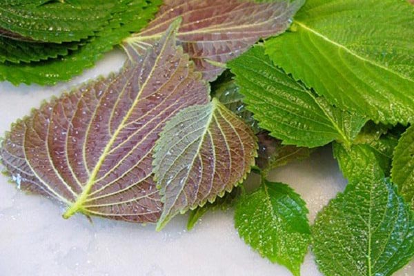 trị mụn cóc trên mặt