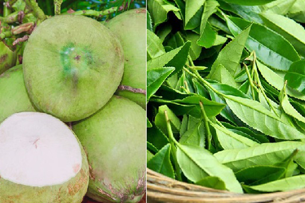 Nước dừa kết hợp chè xanh