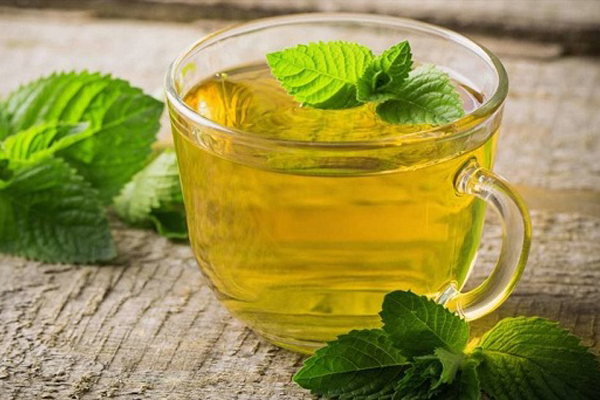 Trà bạc hà giúp kháng viêm