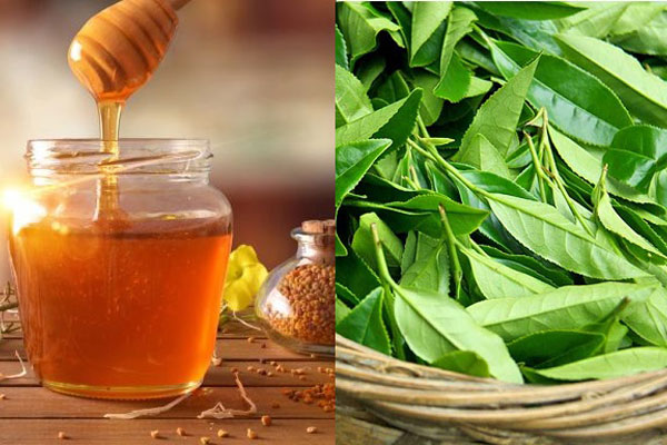 Mật ong kết hợp chè xanh