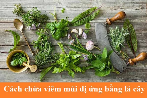 Chữa viêm mũi dị ứng bằng lá cây