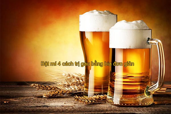 cách trị gàu bằng bia