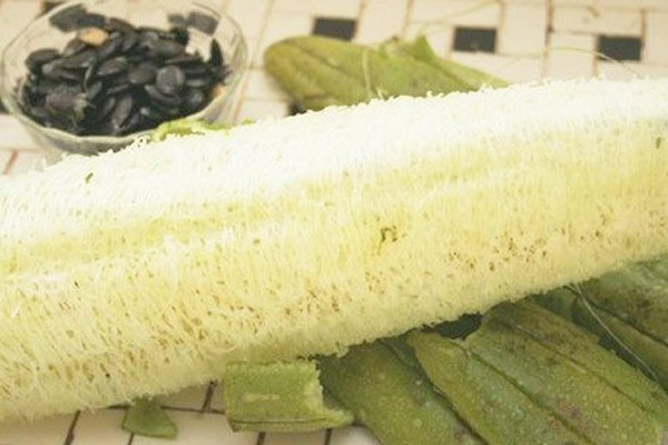 cách điều trị bệnh trĩ bằng xơ mướp