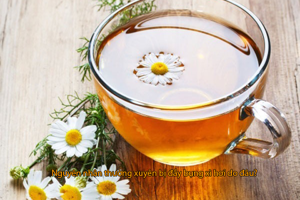 Uống trà hoa cúc
