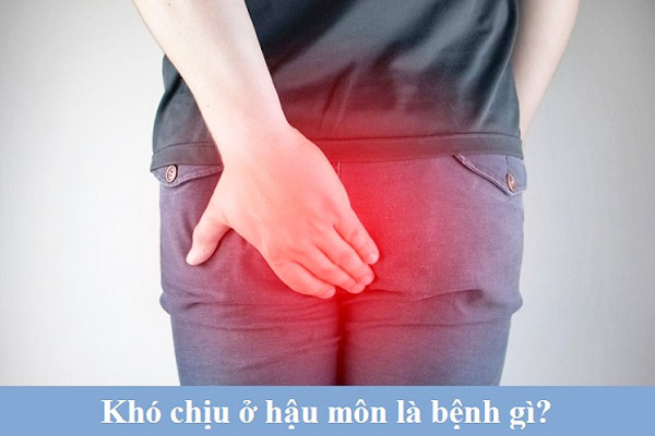 Khó chịu ở hậu môn là bệnh gì?