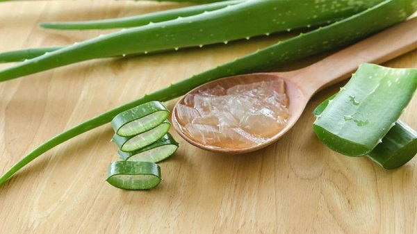 Sử dụng nha đam chữa hội chứng ruột kích thích