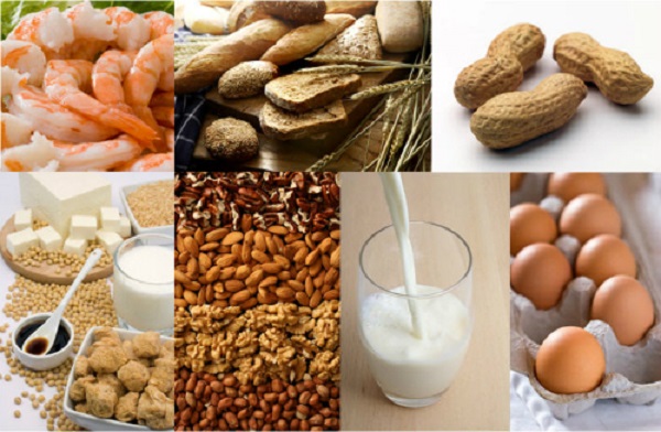 Các thực phẩm dễ gây dị ứng