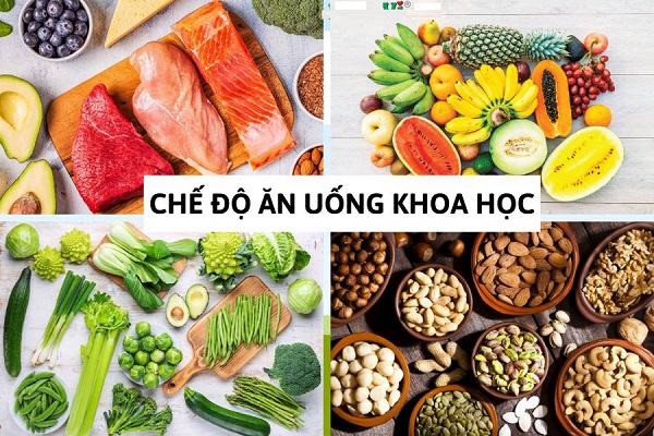 Xây dựng chế độ dinh dưỡng