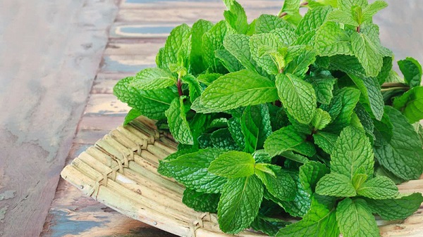 giảm đầy hơi chướng bụng