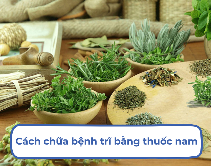 cách chữa bệnh trĩ bằng thuốc nam