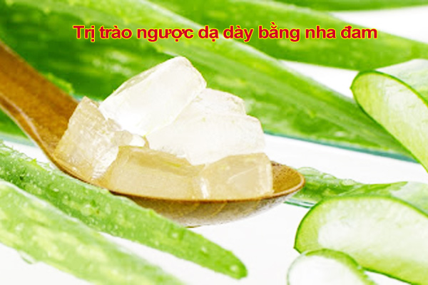 Cách trị trào ngược dạ dày bằng nha đam