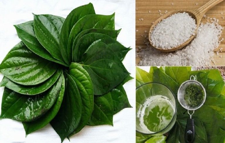 Đắp lá trầu không