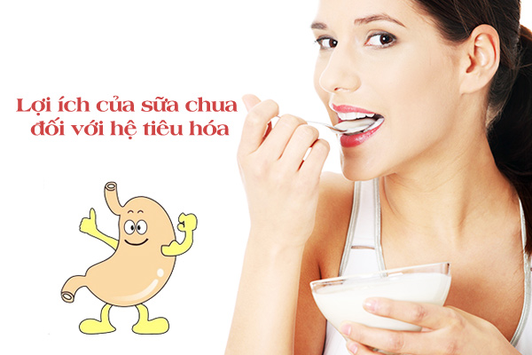 Sữa chua rất tối cho hệ tiêu hóa