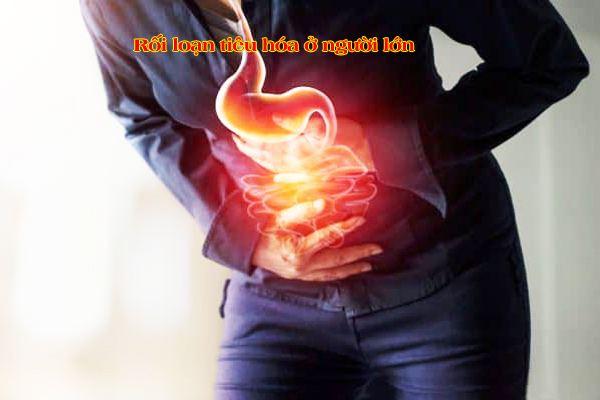 Rối loạn tiêu hóa ở người lớn