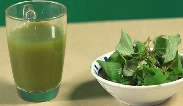 Nước ép rau diếp cá
