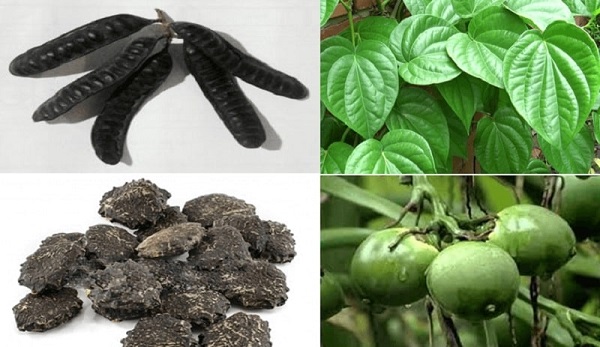 Kết hợp lá trầu không với bồ kết