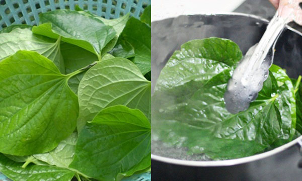 Xông hơi bằng lá trầu không