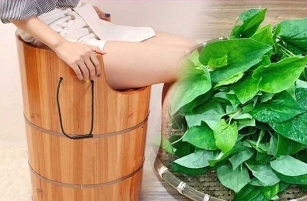 Xông bằng lá diếp cá